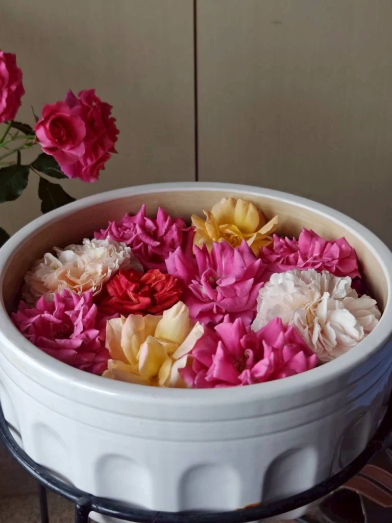 花と季節を楽しむさくらの里の日常