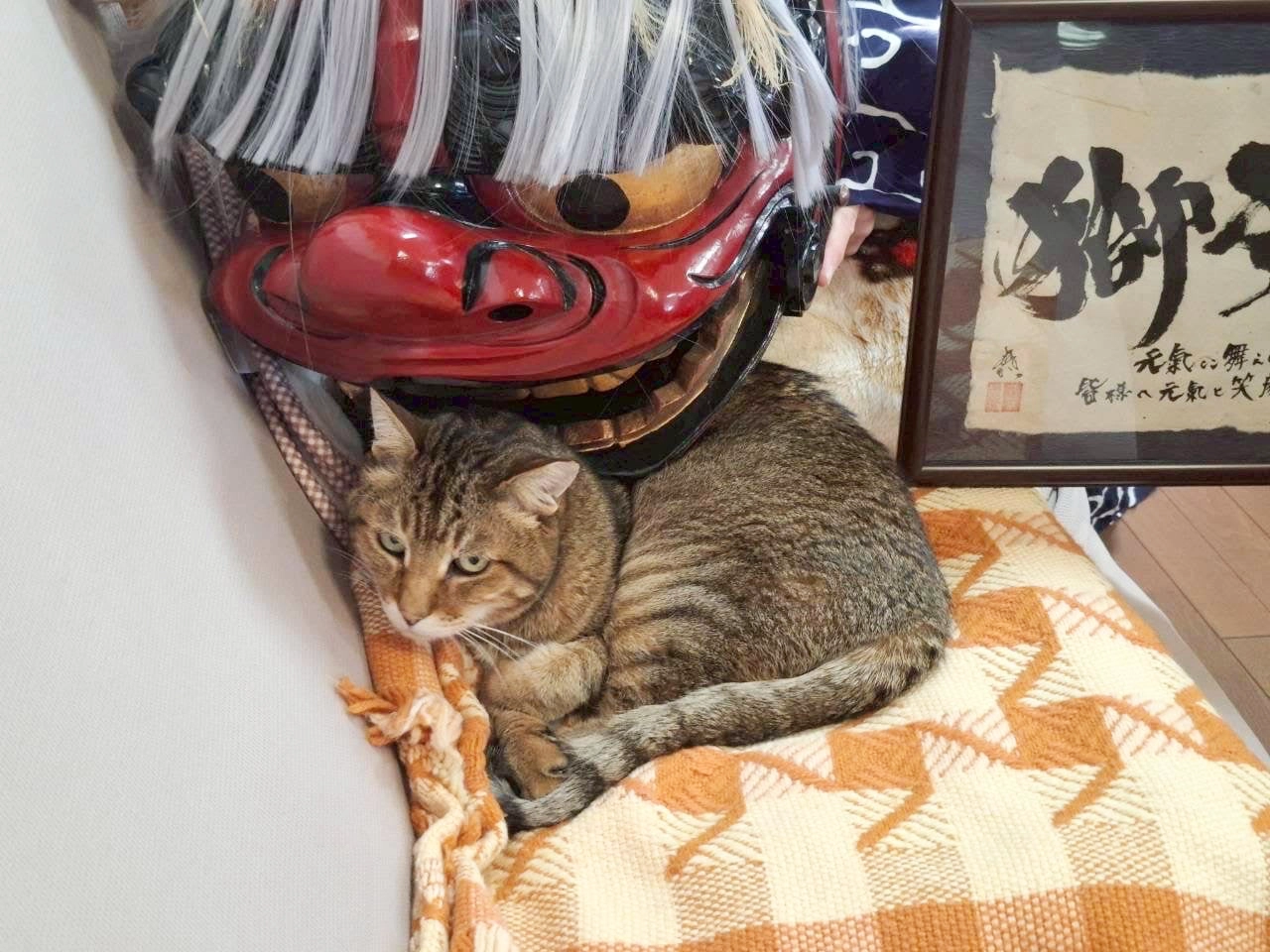 とら